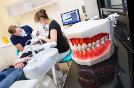 Fusion Dental Care (raleigh, Nc) Model Of Teeth On A Table While Dentists Work On A Patient